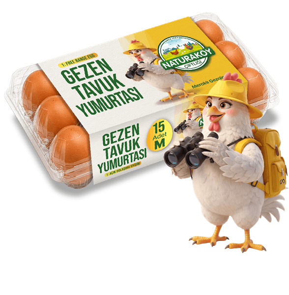 Gezen Tavuk Yumurtası