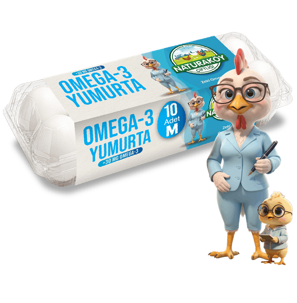 Omega 3 Yumurta