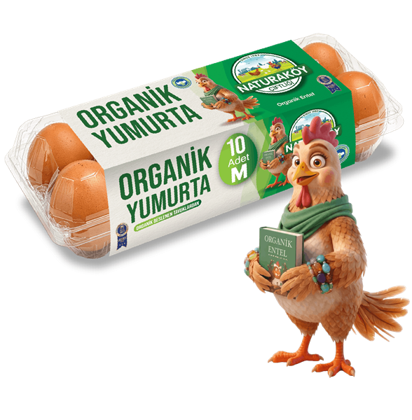 Organik Yumurta
